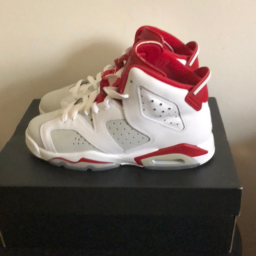 Air Jordan 6 Alternates